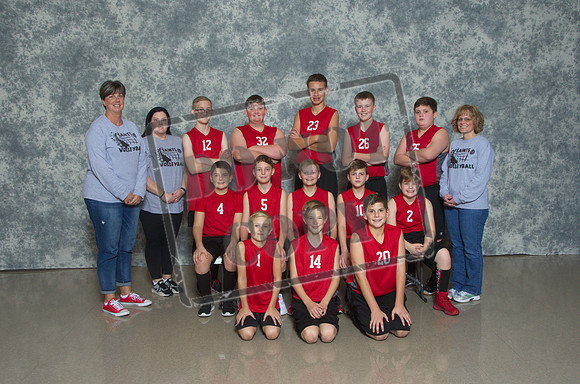W3972
