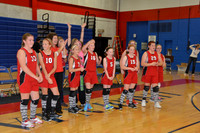 LSA 2013 Volleyball