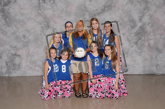 LSA VB-343