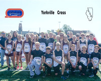 LSA Track 2016