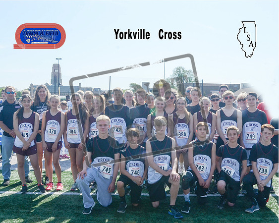 Yorkville 8700