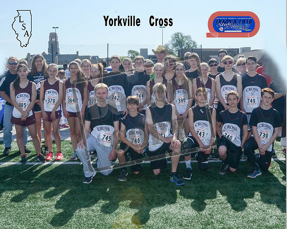 Yorkville 8699